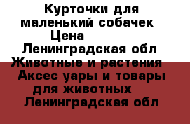 Курточки для маленький собачек › Цена ­ 1 000 - Ленинградская обл. Животные и растения » Аксесcуары и товары для животных   . Ленинградская обл.